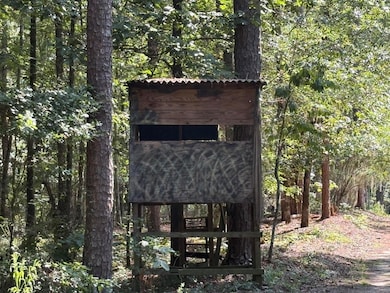 312 Weeks Landing Rd, Cameron, SC 29030 - photo 2