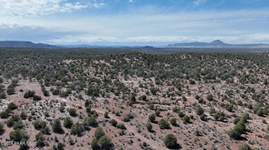 42374 Conwaden Rd, Ash Fork, AZ 86320 - photo 4