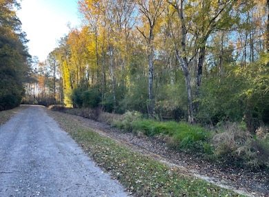 00 Digit Rd, Summerville, SC 29483 - photo 3