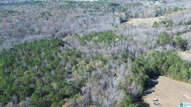 0 Ellison Rd, Jemison, AL 35085 - photo 6