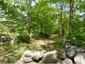 651 E Deering Rd, Deering, NH 03244 - photo 2