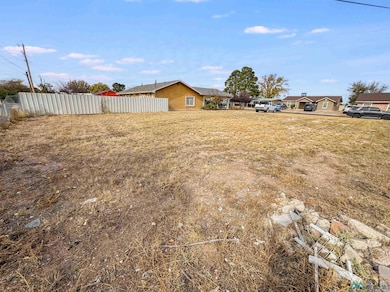 1307 W Princess Jeanne Dr, Hobbs, NM 88240 - photo 3