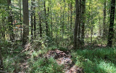 11 Mountain View Trail, Murphy, NC 28906 - photo 5