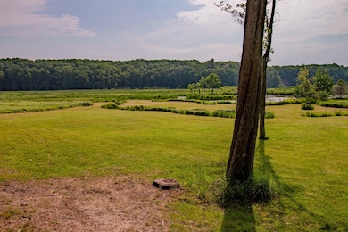 5774 N Wayne Ave, Pentwater, MI 49449 - photo 2