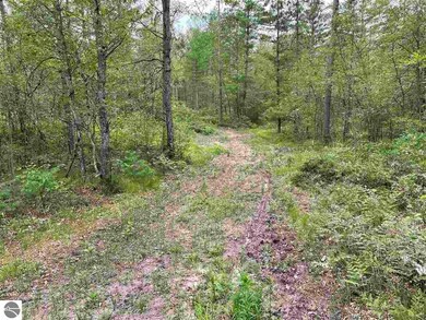 0 Esmond Rd unit 1890514, Hale, MI 48739 - photo 7