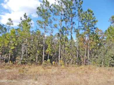 00 County Road 167, Fountain, FL 32438 - photo 2