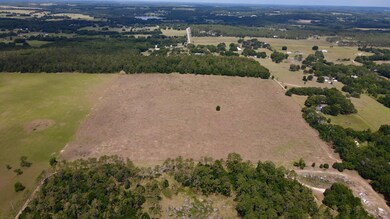 17306 Parrish Grove Rd, Dade City, FL 33523 - photo 7