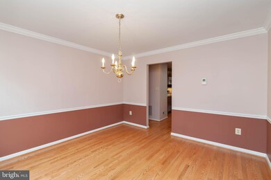 7703 Modisto Ln, Springfield, VA 22153 - photo 5