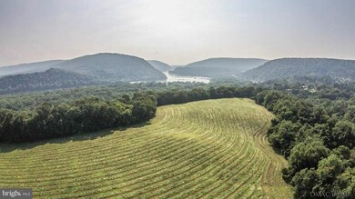 0 Jefferson Pike unit 1000240744, Knoxville, MD 21758 - photo 3