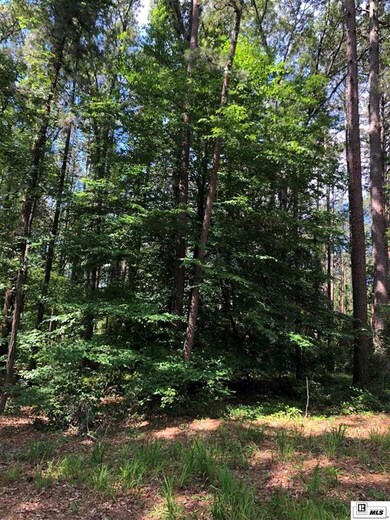 0 Claiborne Rd, Calhoun, LA 71225 - photo 4