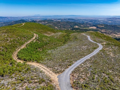 Road to the right takes you the the building envelope while the dirt road takes you to the Napa County boundary on the East side of the property.