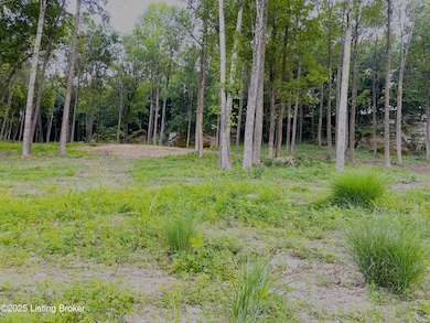 2 Cave Creek Rd, Falls of Rough, KY 40119 - photo 3