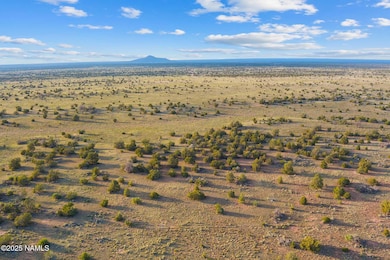 4532 E Indian Meadows Rd, Williams, AZ 86046 - photo 2