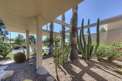 003_Cactus Gardens