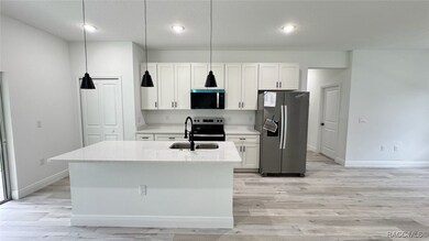 2456 W Magenta Dr, Citrus Springs, FL 34434 - photo 4