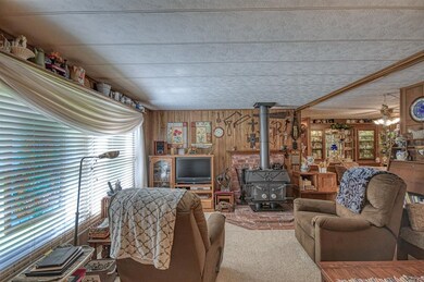 Carpeted living room featuring a wood stove, ceili