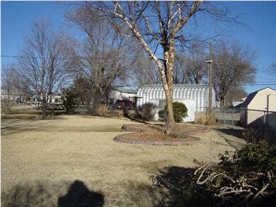 back yard