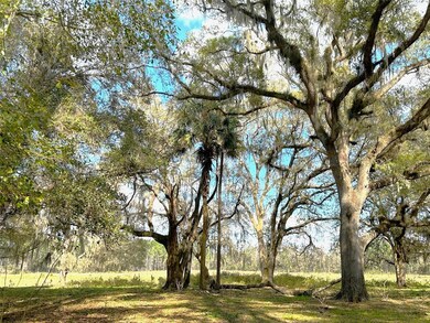 000 State Rd, Hawthorne, FL - photo 4