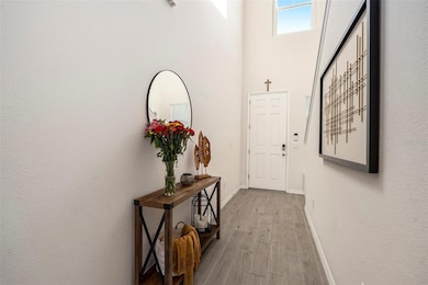 33893 Floating Heart Ct, Wesley Chapel, FL 33545 - photo 4