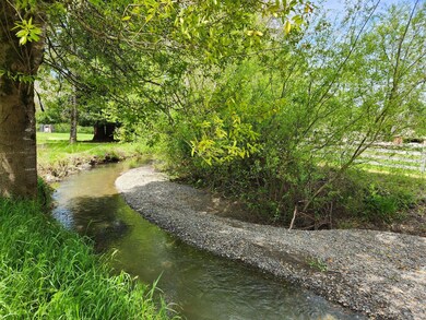 5-web-or-mls-20240416_133439