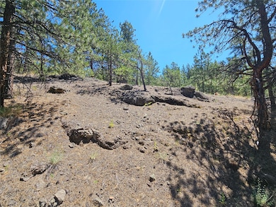 NHN Upper Sawmill Creek Rd, Cascade, MT 59421 - photo 3