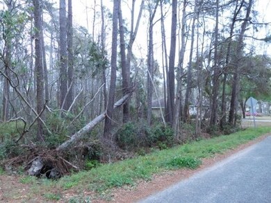 Lot 5 Gray Mans Loop, Pawleys Island, SC 29585 - photo 6