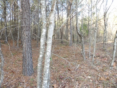 Lot 22 Summer City Rd, Evensville, TN 37332 - photo 4
