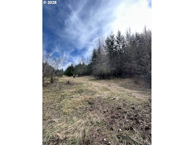 59370 NW Broad Way, Timber, OR 97144 - photo 5