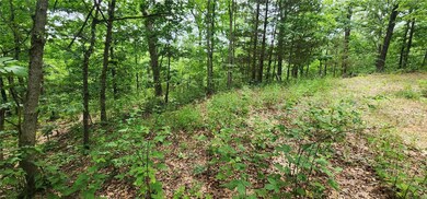 Lots 2 & 3 Foshee Ln, Bella Vista, AR 72715 - photo 3