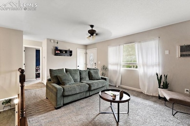 1304 Burnham St, Colorado Springs, CO 80906 - photo 5