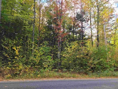 167 Ossipee Mountain Rd, Center Ossipee, NH 03814 - photo 4