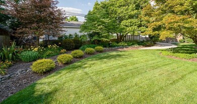 Ridgeview backyard green space