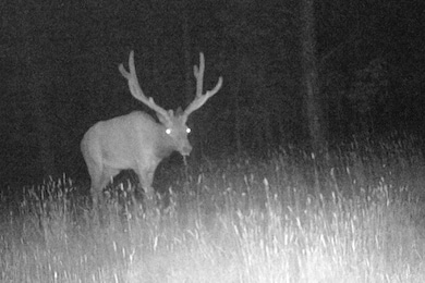 336 Middle Frk Rd, Devils Tower, WY 82714 - photo 6