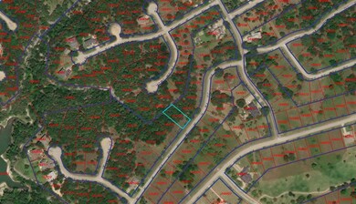 10009 Crestridge Dr, Whitney, TX 76692 - photo 2