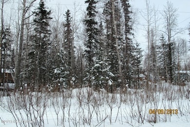 Polar Bear  Road Frontage