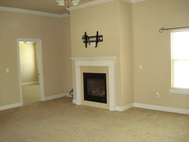 gas log fireplace in living