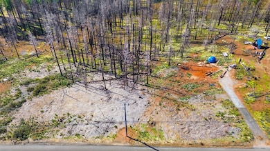 10020- Grizzly Flat Rd, Grizzly Flats, CA 95636 - photo 7