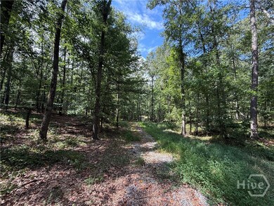 1276 Winns Lake Rd, Comer, GA 30629 - photo 7