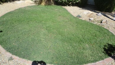 FRONT YARD LANDSCAPING