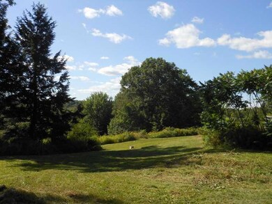 Yard/Garden.