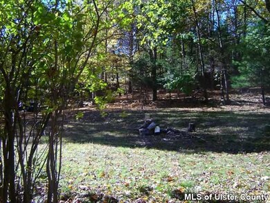 346 Whitfield Rd, Accord, NY 12404 - photo 6