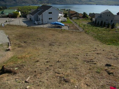 103 Baldy Ct, Chelan, WA 98816 - photo 7