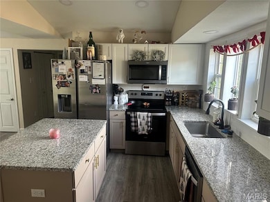 3994 Vogt Rd, Byrnes Mill, MO 63051 - photo 7