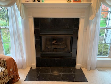 709 Mary Ann Ct, Freeburg, IL 62243 - photo 3