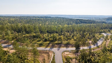 0000 Grandview Dr, Benton, AR 72019 - photo 3