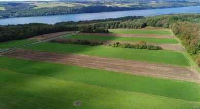 Total of 41 acres with possibility of an additiona