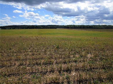 Parcel 1 110th Street St, Frederic, WI 54837 - photo 3