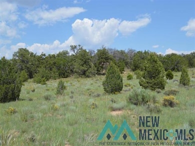 TBD Five Gate Rd, Candy Kitchen, NM 87357 - photo 5