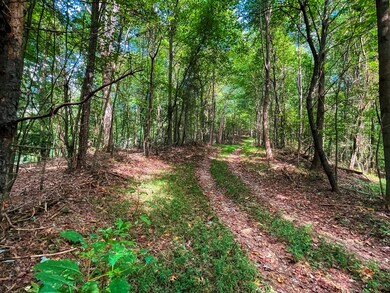 241 AC Legion Rd, Ellijay, GA 30540 - photo 7