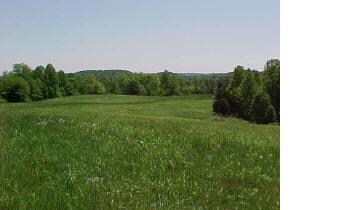 1 Wesley Chapel Rd, Somerset, KY 42501 - photo 2